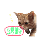 よく使う！ちょいウケ敬語スタンプ（個別スタンプ：15）