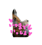 かわいいぺっと（個別スタンプ：8）