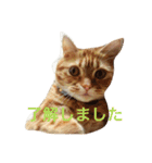princecat（個別スタンプ：2）