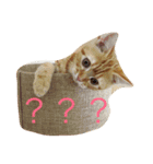princecat（個別スタンプ：4）