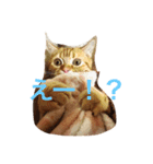 princecat（個別スタンプ：7）