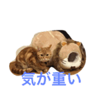 princecat2（個別スタンプ：5）