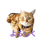 princecat2（個別スタンプ：13）
