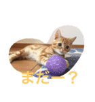 princecat2（個別スタンプ：15）