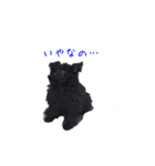 ポメプーチコ ver.2（個別スタンプ：4）