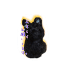 ポメプーチコ ver.2（個別スタンプ：6）
