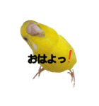 やんきゅうちゃんの1日②（個別スタンプ：1）