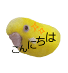 やんきゅうちゃんの1日②（個別スタンプ：2）