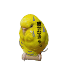 やんきゅうちゃんの1日②（個別スタンプ：8）