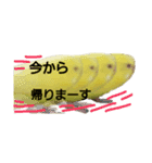 やんきゅうちゃんの1日②（個別スタンプ：10）