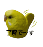 やんきゅうちゃんの1日②（個別スタンプ：11）