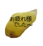やんきゅうちゃんの1日②（個別スタンプ：12）
