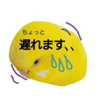 やんきゅうちゃんの1日②（個別スタンプ：13）