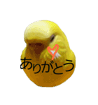 やんきゅうちゃんの1日②（個別スタンプ：15）