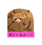 ぐりぐりお5（個別スタンプ：11）