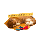 ぐりぐりお5（個別スタンプ：14）