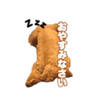 マカロンと風太（個別スタンプ：6）