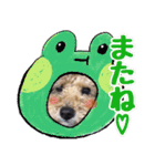 マカロンと風太（個別スタンプ：14）