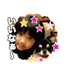 マカロンと風太（個別スタンプ：15）