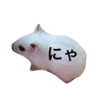 みるきぃ（個別スタンプ：2）