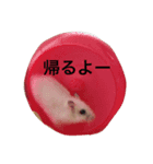みるきぃ（個別スタンプ：5）