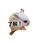 みるきぃ（個別スタンプ：6）