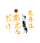 牛柄猫スタンプ01（個別スタンプ：10）