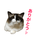 のんのんのんちゃん◎（個別スタンプ：3）