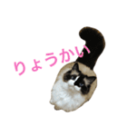 のんのんのんちゃん◎（個別スタンプ：7）