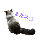 のんのんのんちゃん◎（個別スタンプ：10）