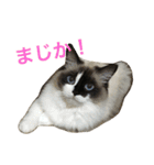 のんのんのんちゃん◎（個別スタンプ：16）