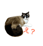 のんのんのんちゃん◎（個別スタンプ：20）