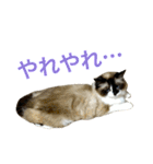のんのんのんちゃん◎（個別スタンプ：24）