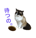 のんのんのんちゃん◎（個別スタンプ：29）