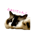 のんのんのんちゃん◎（個別スタンプ：30）