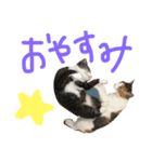 リリ と きなこ（個別スタンプ：6）