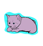 子猫（個別スタンプ：1）