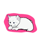 子猫（個別スタンプ：2）