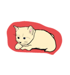 子猫（個別スタンプ：3）