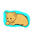 子猫（個別スタンプ：4）