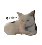チェイとニゥン（個別スタンプ：4）