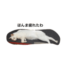 チェイとニゥン（個別スタンプ：6）