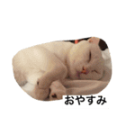 チェイとニゥン（個別スタンプ：11）