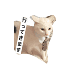 チェイとニゥン（個別スタンプ：14）