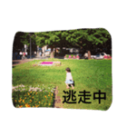 T家とM家（個別スタンプ：14）