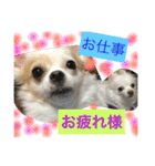 旦那へ（個別スタンプ：1）