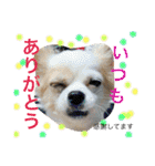 旦那へ（個別スタンプ：2）