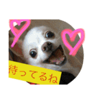 旦那へ（個別スタンプ：6）