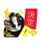 旦那へ（個別スタンプ：9）