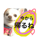 旦那へ（個別スタンプ：10）